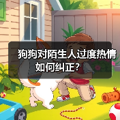 狗狗对陌生人过度热情如何纠正？