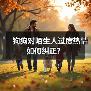 狗狗对陌生人过度热情如何纠正?(图4) 狗狗对陌生人过度热情如何纠正?(图4)