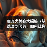 贵宾犬美容大揭秘（从洗澡到修剪，如何让你的贵宾犬更加美丽）
