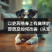 以史宾格身上有臭味的原因及如何改善（从宠物护理、饮食、健康等方面解析臭味来源和处理方法）(图3)
