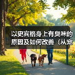 以史宾格身上有臭味的原因及如何改善（从宠物护理、饮食、健康等方面解析臭味来源和处理方法）(图4)