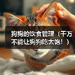 狗狗的饮食管理(千万不能让狗狗吃太饱!)(图2) 狗狗的饮食管理(千万不能让狗狗吃太饱!)(图2)