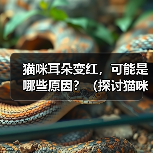 猫咪耳朵变红,可能是哪些原因?(探讨猫咪耳朵变红的原因,提供解决方案)(图4) 猫咪耳朵变红,可能是哪些原因?(探讨猫咪耳朵变红的原因,提供解决方案)(图4)