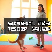 猫咪耳朵变红,可能是哪些原因?(探讨猫咪耳朵变红的原因,提供解决方案)(图3) 猫咪耳朵变红,可能是哪些原因?(探讨猫咪耳朵变红的原因,提供解决方案)(图3)