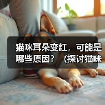 猫咪耳朵变红，可能是哪些原因？（探讨猫咪