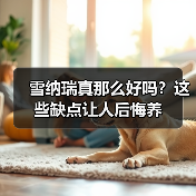 雪纳瑞真那么好吗？这些缺点让人后悔养