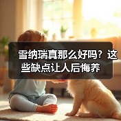 雪纳瑞真那么好吗?这些缺点让人后悔养(图3) 雪纳瑞真那么好吗?这些缺点让人后悔养(图3)