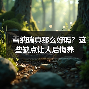雪纳瑞真那么好吗?这些缺点让人后悔养(图4) 雪纳瑞真那么好吗?这些缺点让人后悔养(图4)