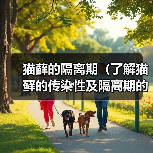 猫藓的隔离期(了解猫藓的传染性及隔离期的重要性)(图3) 猫藓的隔离期(了解猫藓的传染性及隔离期的重要性)(图3)