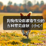 狗狗传染血液寄生虫的五种常见症状(小心!你的宠物可能感染了这些寄生虫)(图3) 狗狗传染血液寄生虫的五种常见症状(小心!你的宠物可能感染了这些寄生虫)(图3)
