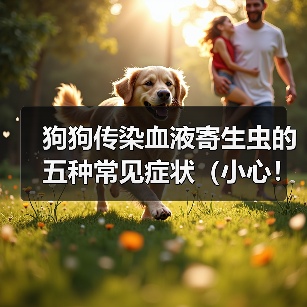 狗狗传染血液寄生虫的五种常见症状（小心！