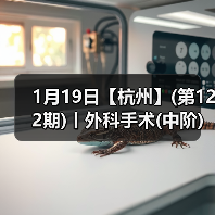 1月19日【杭州】(第122期)丨外科手术(中阶)实战班,2人/组提供一猫一狗,实操超多!(图2) 1月19日【杭州】(第122期)丨外科手术(中阶)实战班,2人/组提供一猫一狗,实操超多!(图2)