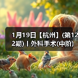 1月19日【杭州】(第122期)丨外科手术(中阶)实战班,2人/组提供一猫一狗,实操超多!(图4) 1月19日【杭州】(第122期)丨外科手术(中阶)实战班,2人/组提供一猫一狗,实操超多!(图4)