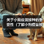 关于小狗疫苗接种的重要性（了解小狗疫苗接