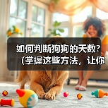 如何判断狗狗的天数？（掌握这些方法，让你不再为狗狗的年龄而烦恼）(图4)