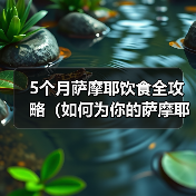 5个月萨摩耶饮食全攻略（如何为你的萨摩耶