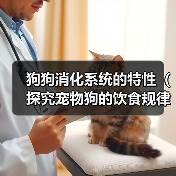 狗狗消化系统的特性（探究宠物狗的饮食规律