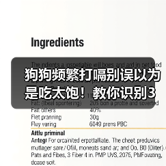狗狗频繁打嗝别误以为是吃太饱!教你识别3种病理原因(图4) 狗狗频繁打嗝别误以为是吃太饱!教你识别3种病理原因(图4)