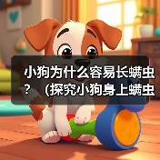 小狗为什么容易长螨虫？（探究小狗身上螨虫