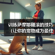 训练萨摩耶翻滚的技巧（让你的宠物成为最佳