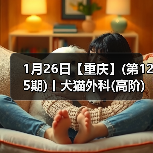 1月26日【重庆】(第125期)丨犬猫外