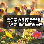 喜乐蒂的性格特点剖析（从宠物的角度看喜乐