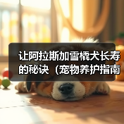 让阿拉斯加雪橇犬长寿的秘诀（宠物养护指南