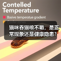 猫咪吞猫粮不嚼,是正常现象还是健康隐患?(图2) 猫咪吞猫粮不嚼,是正常现象还是健康隐患?(图2)