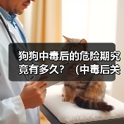 狗狗中毒后的危险期究竟有多久?(中毒后关键时刻怎么过?)(图2) 狗狗中毒后的危险期究竟有多久?(中毒后关键时刻怎么过?)(图2)