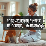 如何识别狗狗的情绪（用心观察，看狗狗的喜