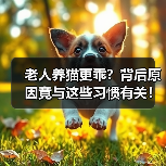 老人养猫更乖?背后原因竟与这些习惯有关!(图3) 老人养猫更乖?背后原因竟与这些习惯有关!(图3)