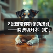 8张图带你解锁新技能——膀胱切开术（附手术视频）(图2)