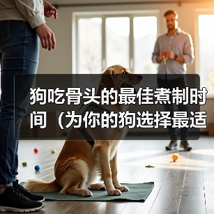 狗吃骨头的最佳煮制时间（为你的狗选择最适