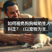 如何避免狗狗被陌生人叫走？（以宠物为主，注意安全！）(图3)