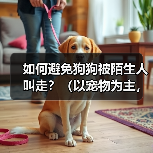 如何避免狗狗被陌生人叫走？（以宠物为主，注意安全！）(图4)