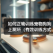 如何正确训练宠物狗狗上厕所（有效训练方式、注意事项和应对突发情况）(图4)