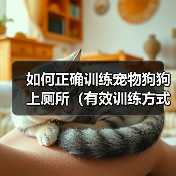 如何正确训练宠物狗狗上厕所（有效训练方式、注意事项和应对突发情况）(图3)