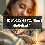 猫咪光吃不胖到底是不是寄生虫？(图3)