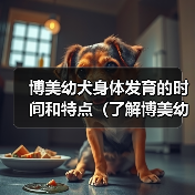 博美幼犬身体发育的时间和特点（了解博美幼犬身体成长的关键因素及时间节点）(图4)