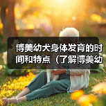 博美幼犬身体发育的时间和特点（了解博美幼犬身体成长的关键因素及时间节点）(图3)