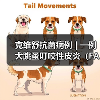 克维舒抗菌病例 | 一例犬跳蚤叮咬性皮炎（FAD）的病例分析(图3)