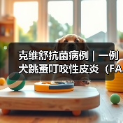 克维舒抗菌病例 | 一例犬跳蚤叮咬性皮炎（FAD）的病例分析(图2)