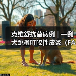 克维舒抗菌病例 | 一例犬跳蚤叮咬性皮炎（FAD）的病例分析(图1)