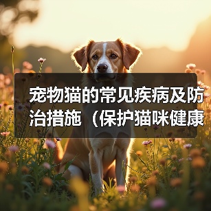 宠物猫的常见疾病及防治措施(保护猫咪健康的关键是及时发现问题并采取正确的治疗措施)(图3) 宠物猫的常见疾病及防治措施(保护猫咪健康的关键是及时发现问题并采取正确的治疗措施)(图3)