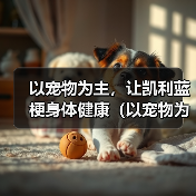以宠物为主，让凯利蓝梗身体健康（以宠物为主，让凯利蓝梗身体健康）(图4)