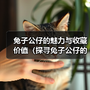 兔子公仔的魅力与收藏价值(探寻兔子公仔的种类与历史,了解收藏的乐趣与意义)(图4) 兔子公仔的魅力与收藏价值(探寻兔子公仔的种类与历史,了解收藏的乐趣与意义)(图4)