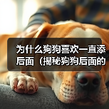为什么狗狗喜欢一直添后面（揭秘狗狗后面的行为习惯，探寻它们内心的真正想法）(图2)