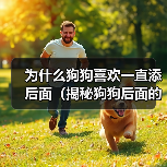 为什么狗狗喜欢一直添后面（揭秘狗狗后面的行为习惯，探寻它们内心的真正想法）(图3)