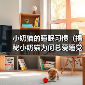 小奶猫的睡眠习惯（揭秘小奶猫为何总爱睡觉）(图4)