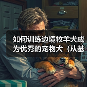 如何训练边境牧羊犬成为优秀的宠物犬（从基础训练到高级训练，打造最可靠的伴侣）(图3)